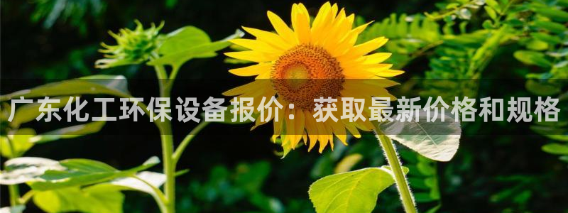 亿万先生网页版：广东化工环保设备报价：获取最新价格和规格