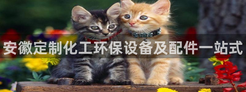 亿万先生官方网站下载手机版：安徽定制化工环保设备及配件一站式