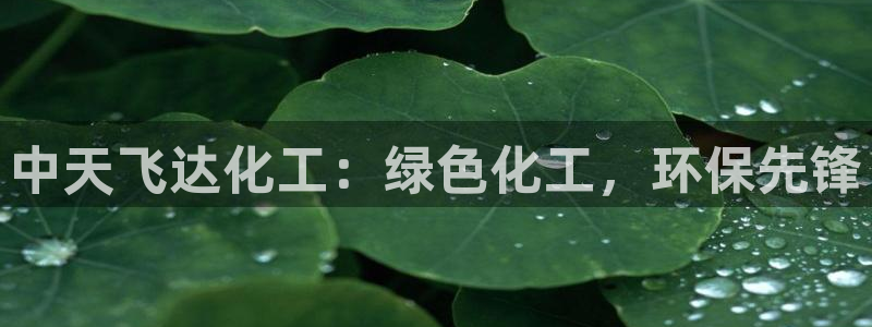 亿万先生网址生：中天飞达化工：绿色化工，环保先锋