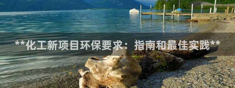 亿万下载：**化工新项目环保要求：指南和最佳实践**