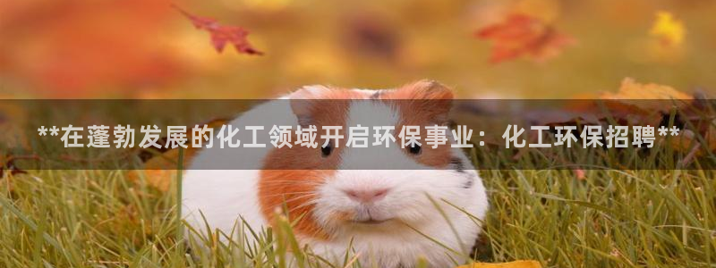 亿万先生手机网：**在蓬勃发展的化工领域开启环保事业：化工环保招聘**