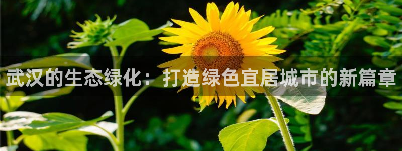 亿万先生网址改了吗：武汉的生态绿化：打造绿色宜居城市的新篇章