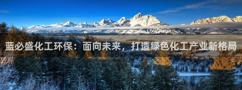 亿万下载：蓝必盛化工环保：面向未来，打造绿色化工产业新格局
