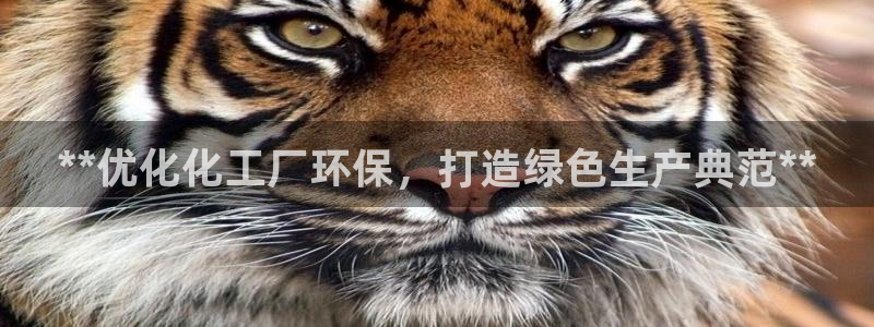 亿万先生官方客服：**优化化工厂环保，打造绿色生产典范**