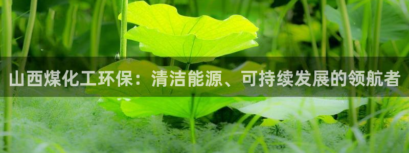 亿万个世界 科幻简介：山西煤化工环保：清洁能源、可持续发展的领航者