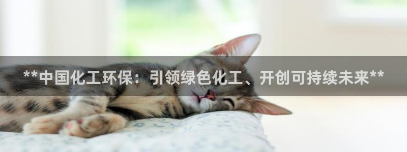 亿万 下载：**中国化工环保：引领绿色化工、开创可持续未来**