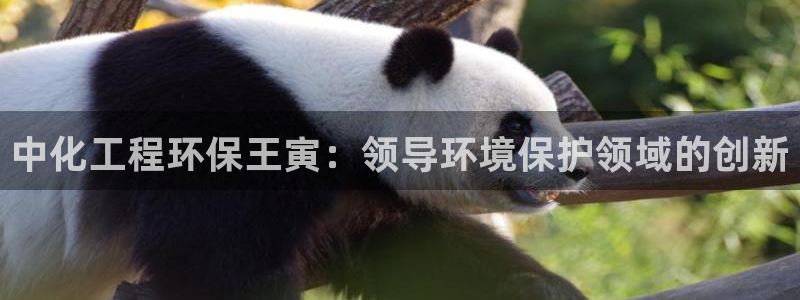 亿万先生官方登录网址：中化工程环保王寅：领导环境保护领域的创新