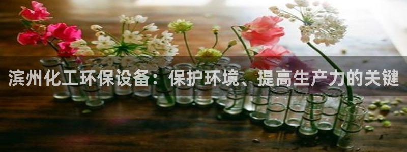 亿万先生现在的网址谁知道：滨州化工环保设备：保护环境、提高生产力的关键