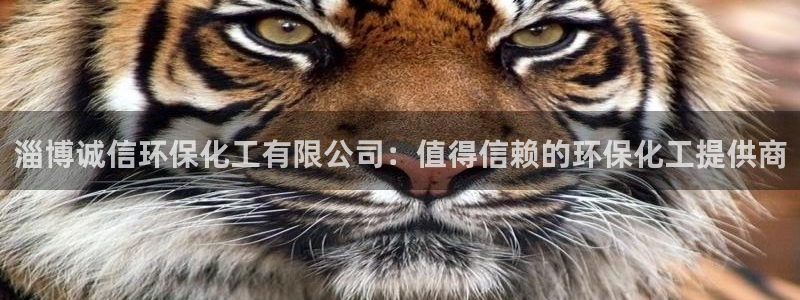 亿万先生用什么客户端：淄博诚信环保化工有限公司：值得信赖的环保化工提供商