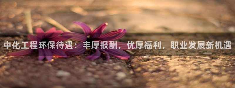亿万网络：中化工程环保待遇：丰厚报酬，优厚福利，职业发展新机遇