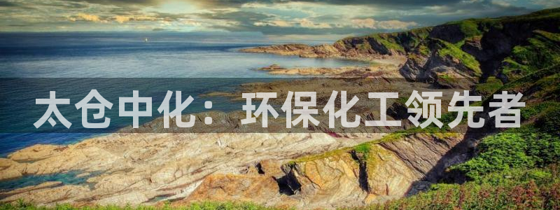 亿万先生网页版下载：太仓中化：环保化工领先者