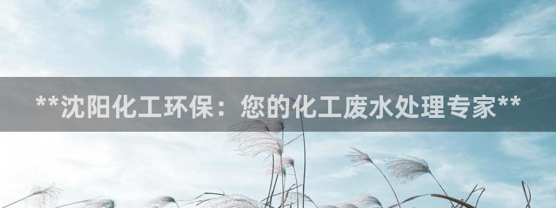 亿万先生mr014：**沈阳化工环保：您的化工废水处理专家**