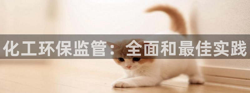亿万先生手机版：化工环保监管：全面和最佳实践
