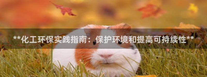 亿万钱包app下载：**化工环保实践指南：保护环境和提高可持续性**