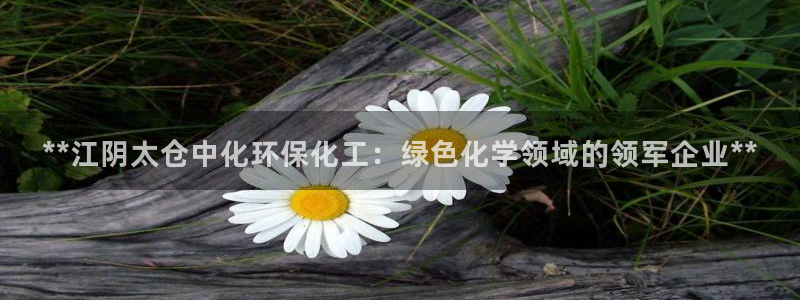 亿万先生官方网站客户端下载安装手机版：**江阴太仓中化环保化工：绿色化学领域的领军企业**