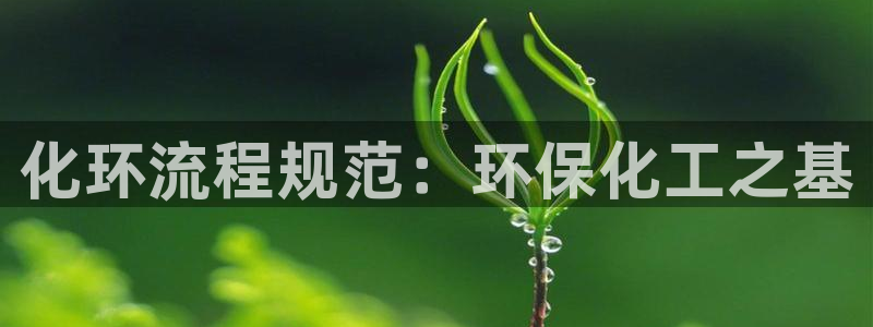 亿万集团有限公司：化环流程规范：环保化工之基