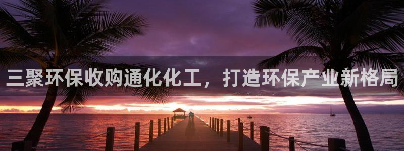 亿万百度百科：三聚环保收购通化化工，打造环保产业新格局