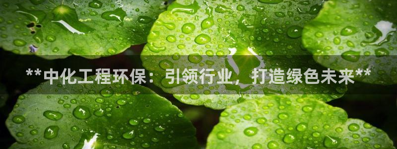 亿万红包版下载正版：**中化工程环保：引领行业，打造绿色未来**