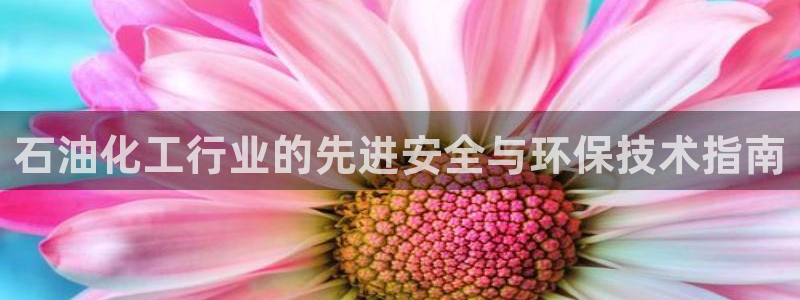 亿万先生网页版下载：石油化工行业的先进安全与环保技术指南
