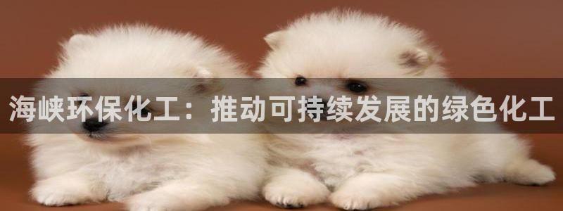 mr亿万先生：海峡环保化工：推动可持续发展的绿色化工