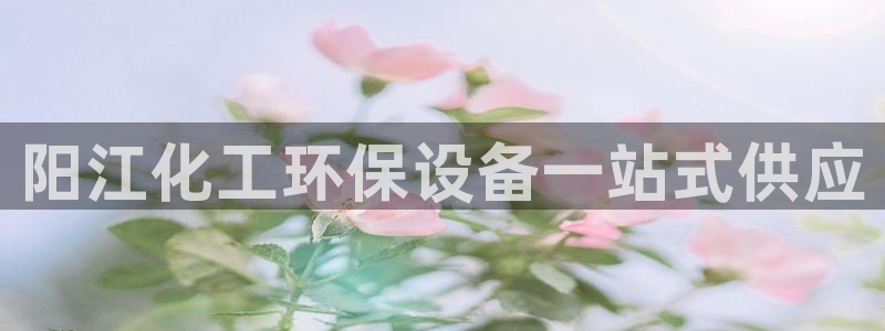 亿万钱包app下载：阳江化工环保设备一站式供应