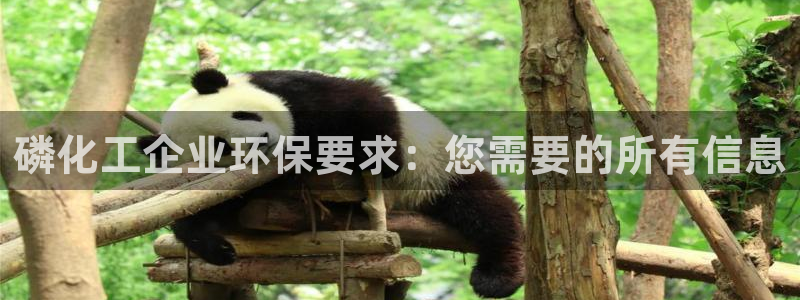 亿万先生官方登录网址：磷化工企业环保要求：您需要的所有信息