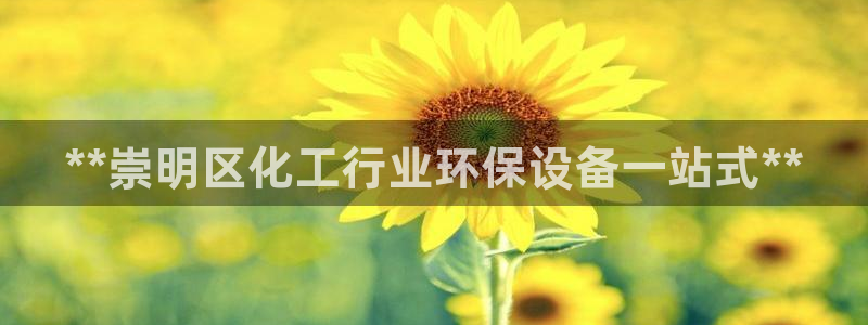 亿万网红：**崇明区化工行业环保设备一站式**