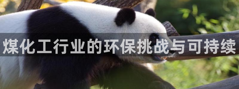 亿万先生客服：煤化工行业的环保挑战与可持续