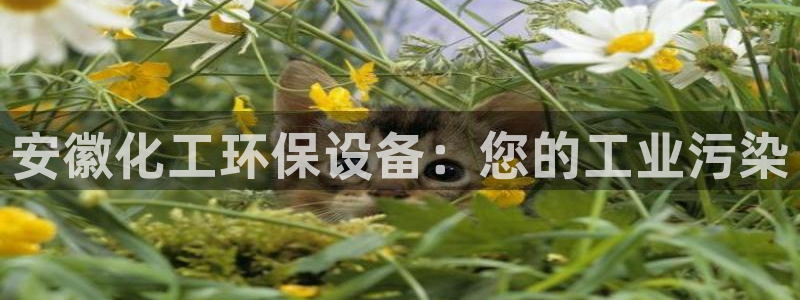 亿万先生充电桩怎么样：安徽化工环保设备：您的工业污染