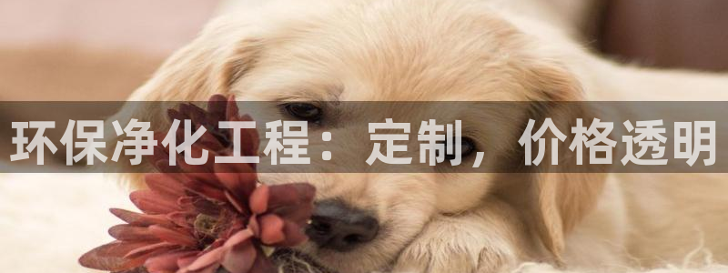 亿万先生官方网站：环保净化工程：定制，价格透明