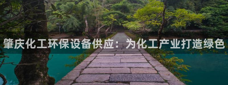 亿万先生官方网站客户端下载安装最新版：肇庆化工环保设备供应：为化工产业打造绿色