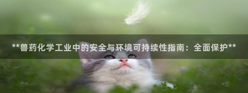 亿万手游官网网址：**兽药化学工业中的安全与环境可持续性指南：全面保护**