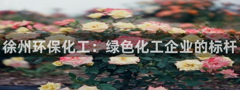 亿万先生客服联系方式：徐州环保化工：绿色化工企业的标杆