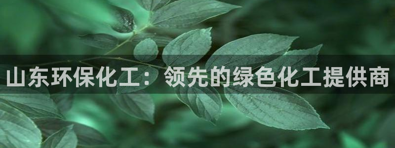 亿万先生客户端下载安装：山东环保化工：领先的绿色化工提供商