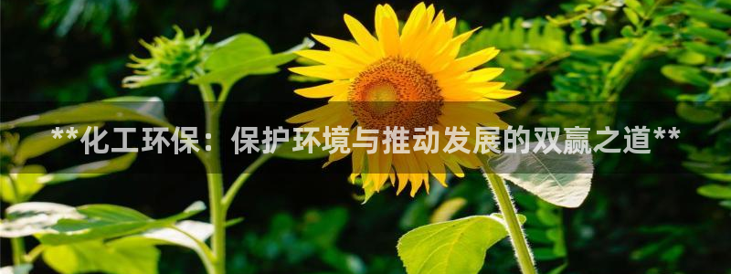 亿万 在线：**化工环保：保护环境与推动发展的双赢之道**