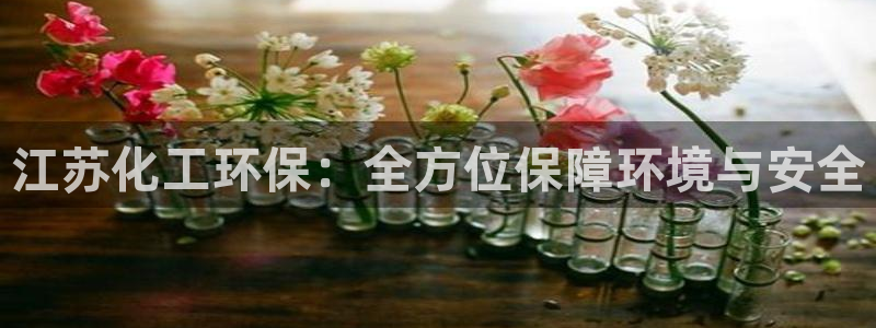 亿万首富手游：江苏化工环保：全方位保障环境与安全
