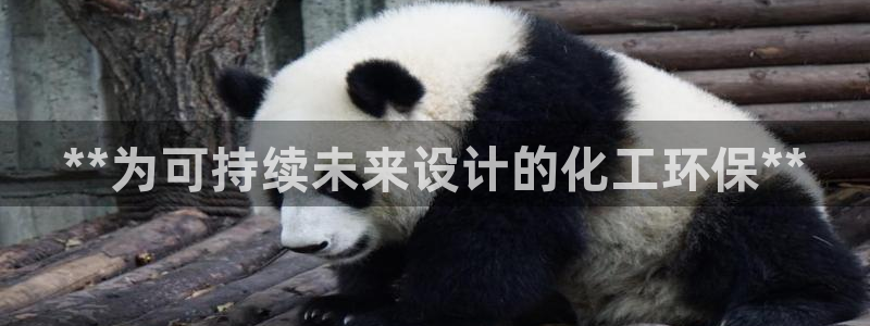 亿万先生手机版：**为可持续未来设计的化工环保**