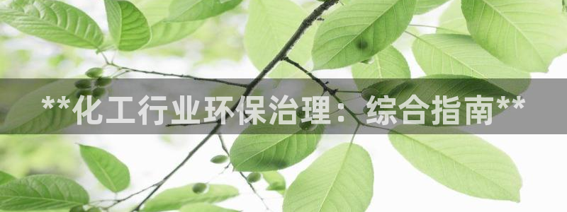 亿万网友在线实时为你解答：**化工行业环保治理：综合指南**
