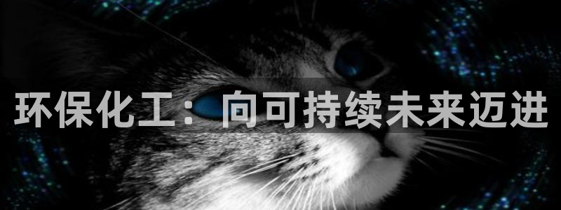 mr亿万先生：环保化工：向可持续未来迈进