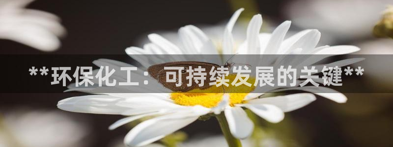 亿万国际：**环保化工：可持续发展的关键**