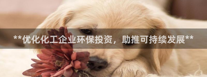 电视剧亿万：**优化化工企业环保投资，助推可持续发展**