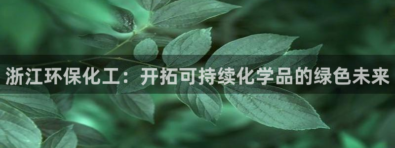 亿万先生mr008cc官网：浙江环保化工：开拓可持续化学品的绿色未来