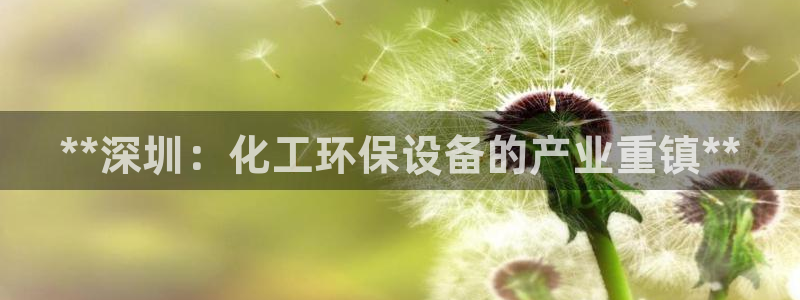 亿万 下载：**深圳：化工环保设备的产业重镇**