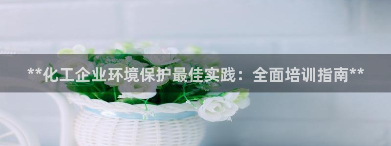亿万先生客服：**化工企业环境保护最佳实践：全面培训指南**