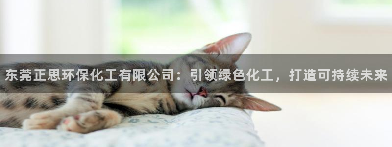 亿万先生手机网：东莞正思环保化工有限公司：引领绿色化工，打造可持续未来