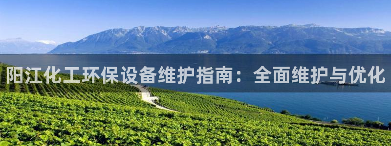 亿万国际合法吗：阳江化工环保设备维护指南：全面维护与优化