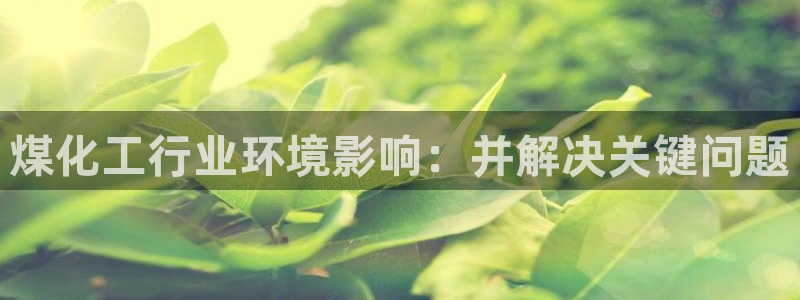 亿万集团有限公司：煤化工行业环境影响：并解决关键问题