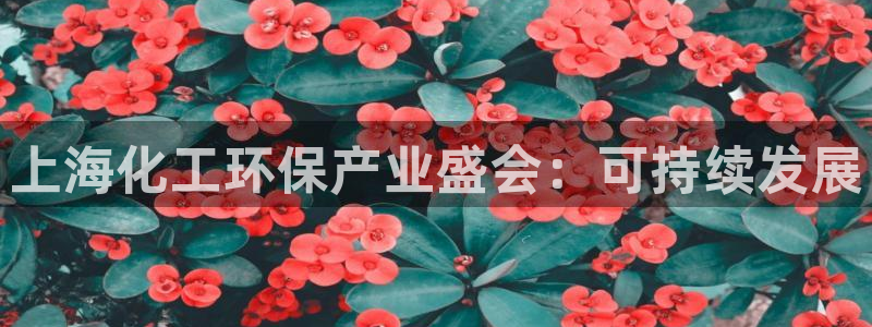 亿万讲了什么：上海化工环保产业盛会：可持续发展