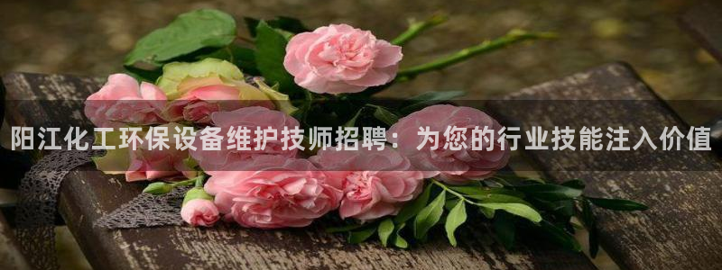亿万国际：阳江化工环保设备维护技师招聘：为您的行业技能注入价值