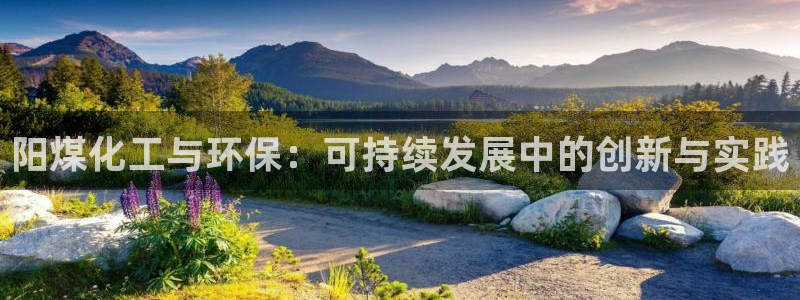 电视剧亿万：阳煤化工与环保：可持续发展中的创新与实践
